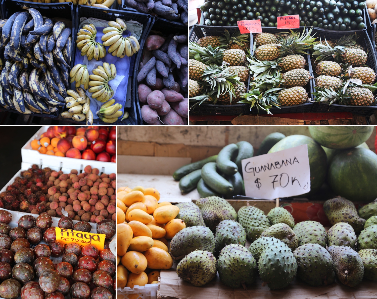 produce fruit mexico food blogger tijuana hidalgo mercado
