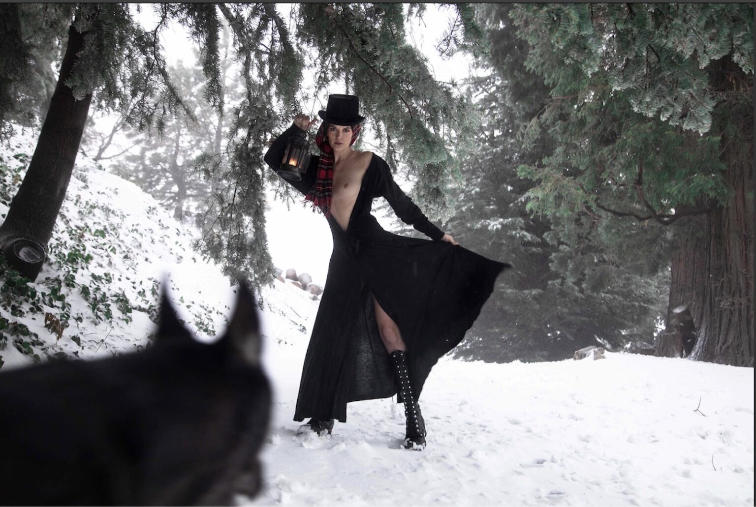 best fine art fashion nude photographer los angeles image of girl with wolf in the snow
